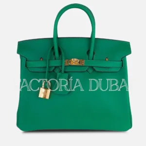 Hermes Birkin 25 Bag Cactus Swift Leather GHW
