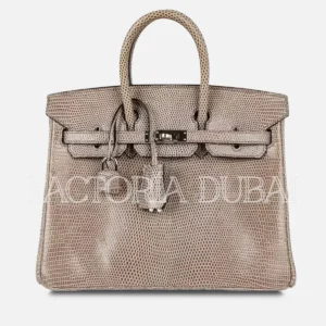 Hermes Birkin 25 Bag Gris Agate Lizard PHW