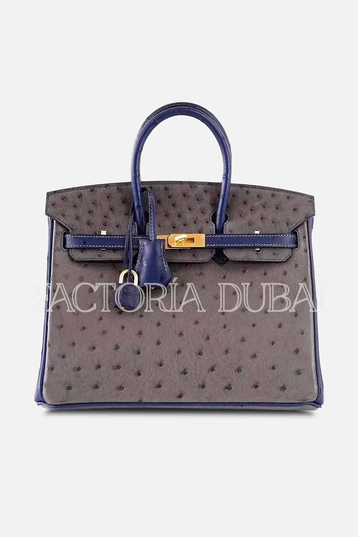 Hermes Birkin 25 Bag HSS Ostrich Gris Agate/Blue Sapphire Brushed Gold