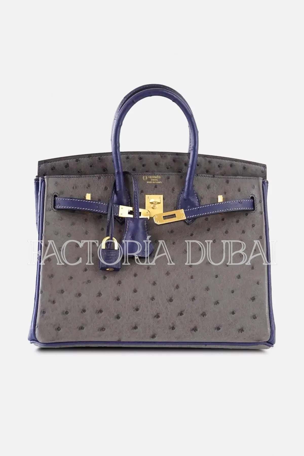 Hermes Birkin 25 Bag HSS Ostrich Gris Agate/Blue Sapphire Brushed Gold