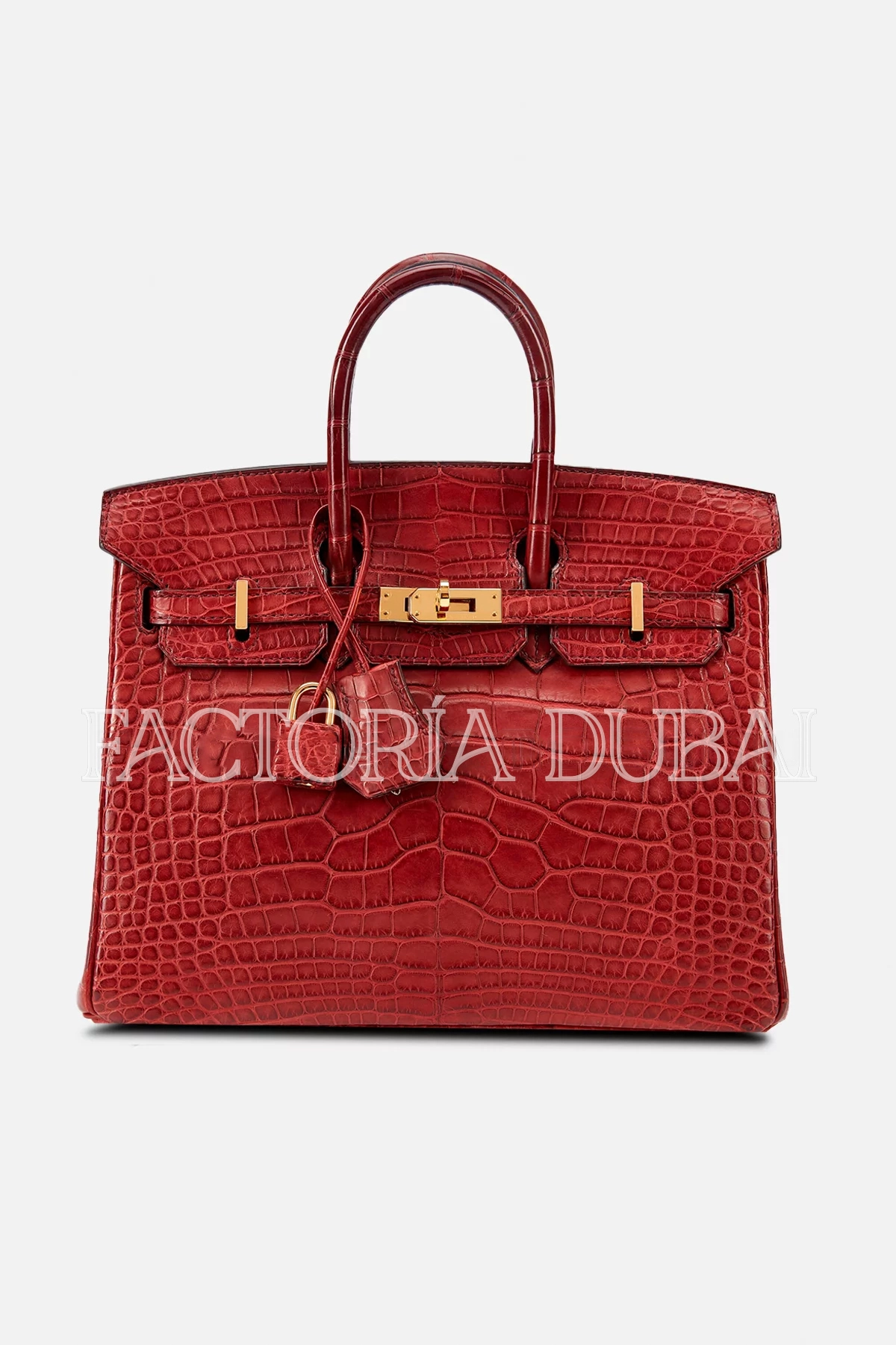 Hermes Birkin 25 Bourgogne Matte Alligator GHW