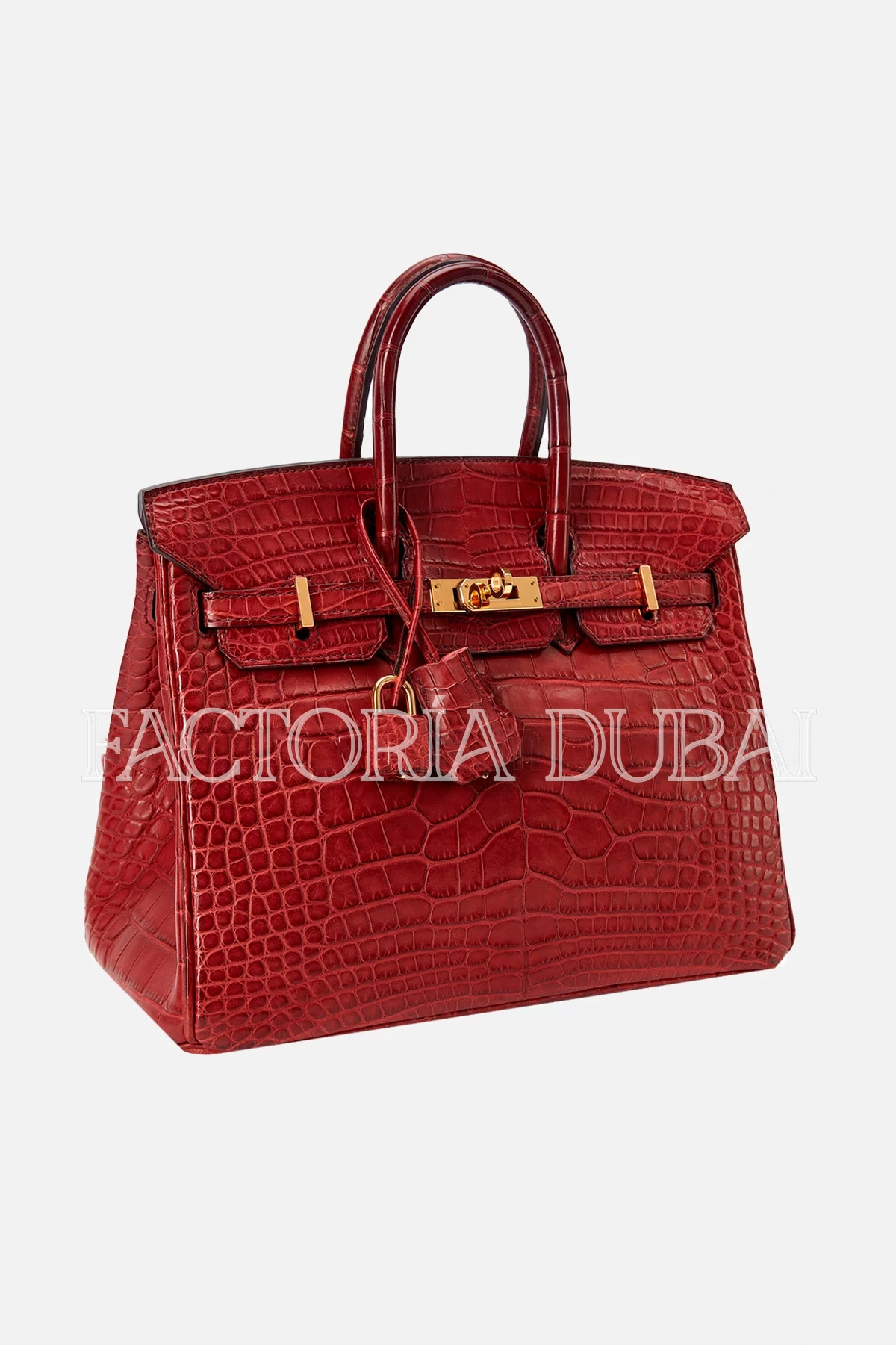 Hermes Birkin 25 Bourgogne Matte Alligator GHW