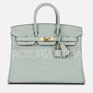 Hermès Birkin 25 Gris Neve Matte Alligator GHW