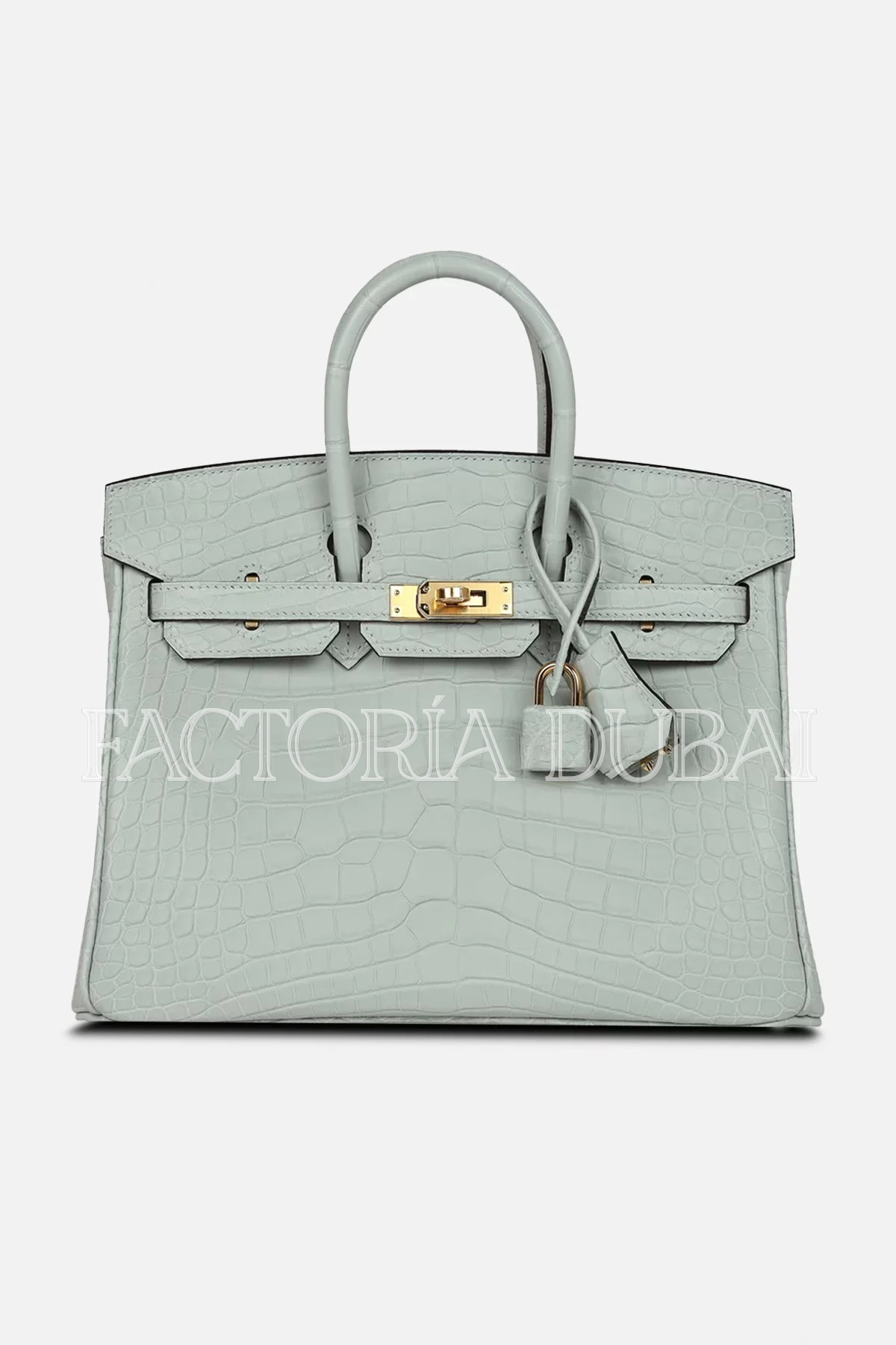 Hermès Birkin 25 Gris Neve Matte Alligator GHW
