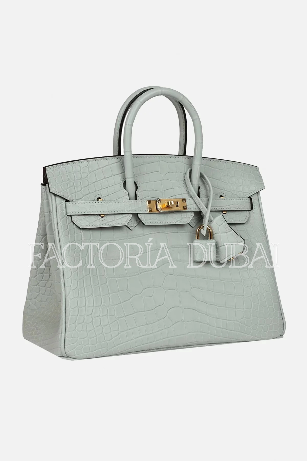Hermès Birkin 25 Gris Neve Matte Alligator GHW
