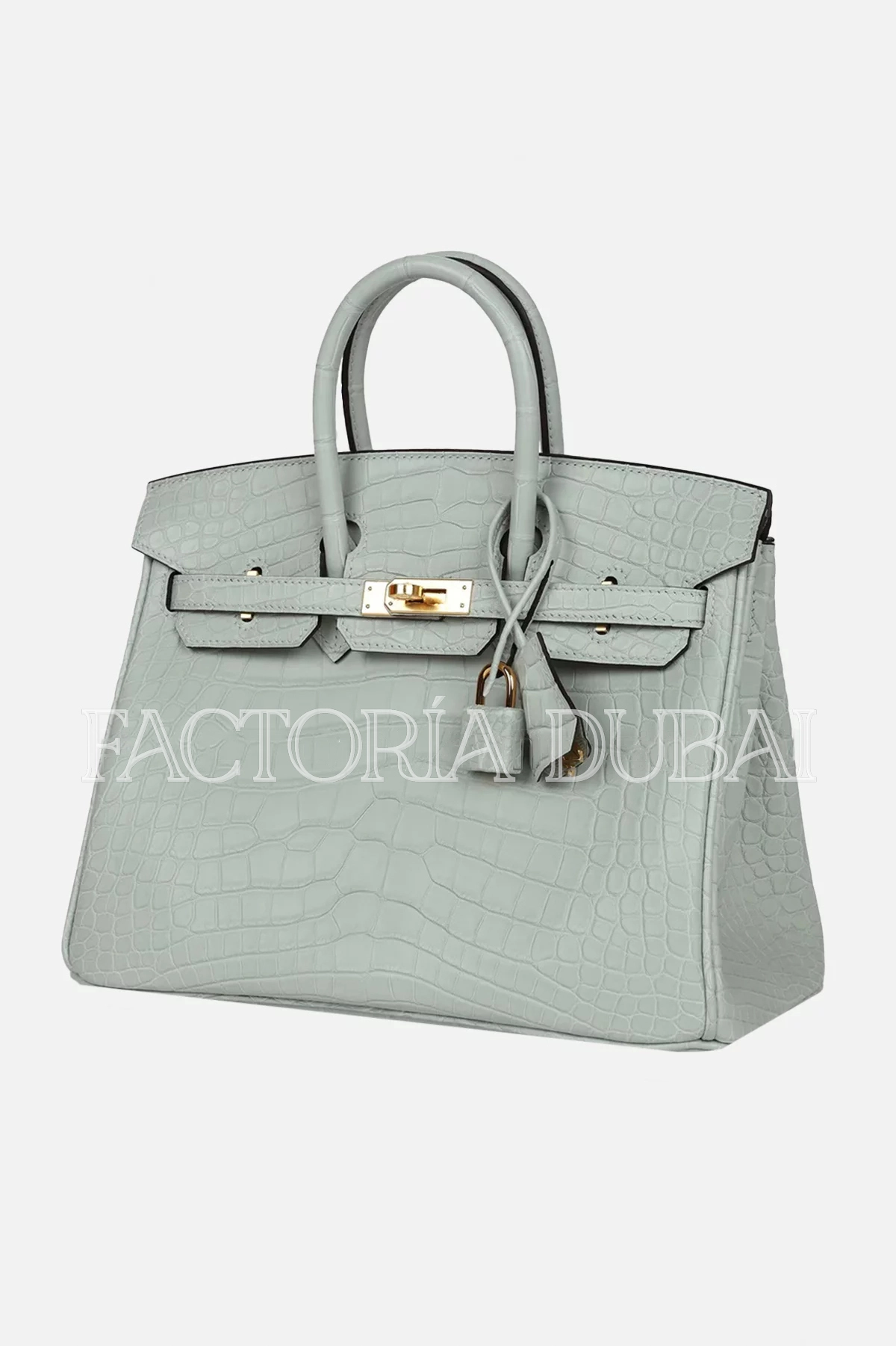 Hermès Birkin 25 Gris Neve Matte Alligator GHW