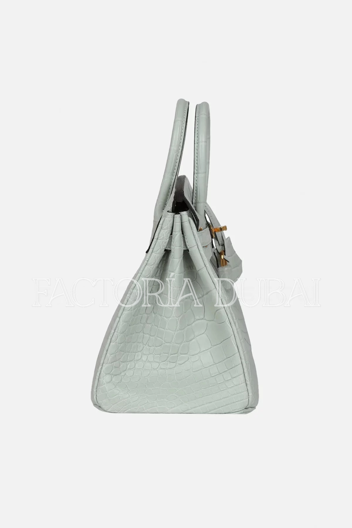 Hermès Birkin 25 Gris Neve Matte Alligator GHW