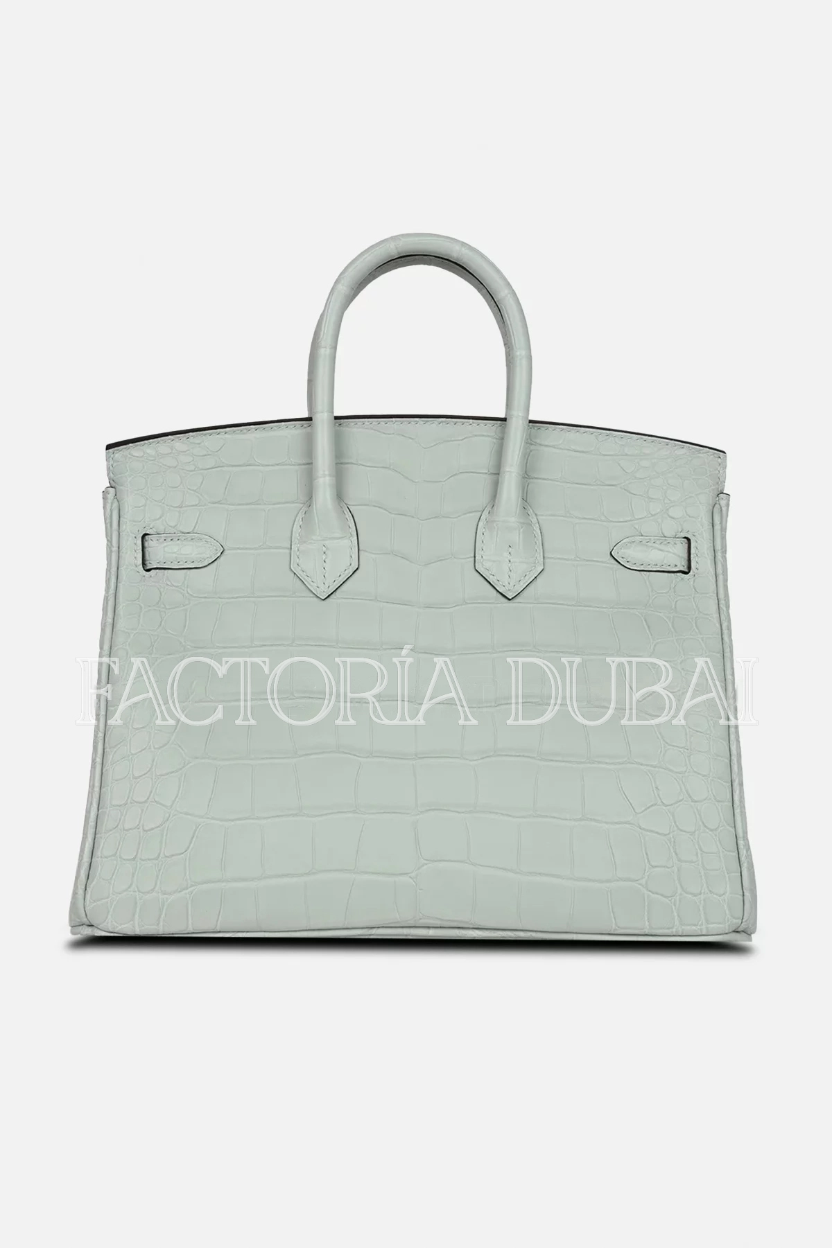 Hermès Birkin 25 Gris Neve Matte Alligator GHW