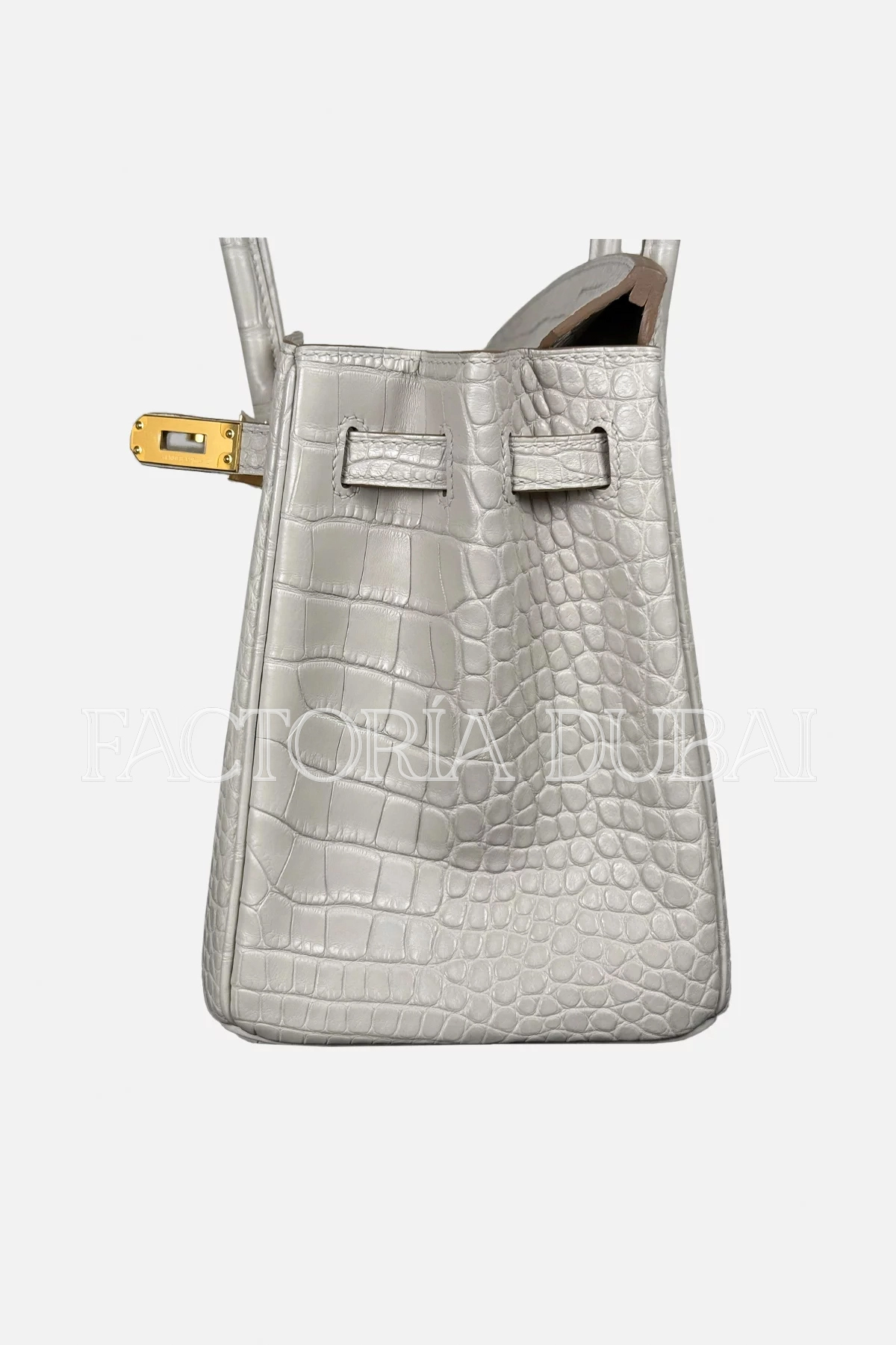 Hermes Birkin 25 Matte Beton Alligator GHW