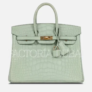 Hermès Birkin 25 Vert D’Eau Matte Alligator GHW