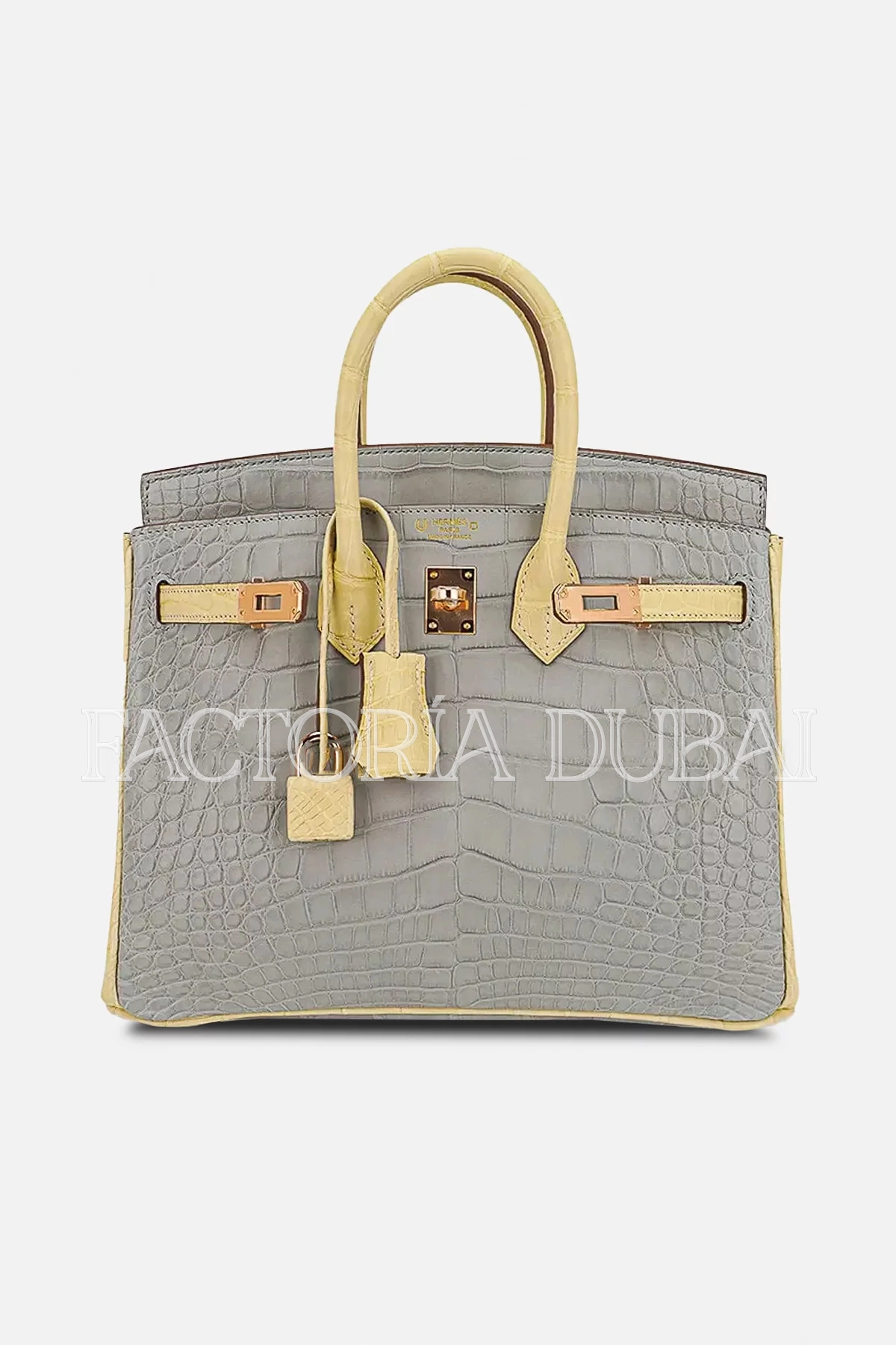 Hermes Special Order HSS Birkin 25 Bag Gris Perle & Vanille Matte Alligator RGHW
