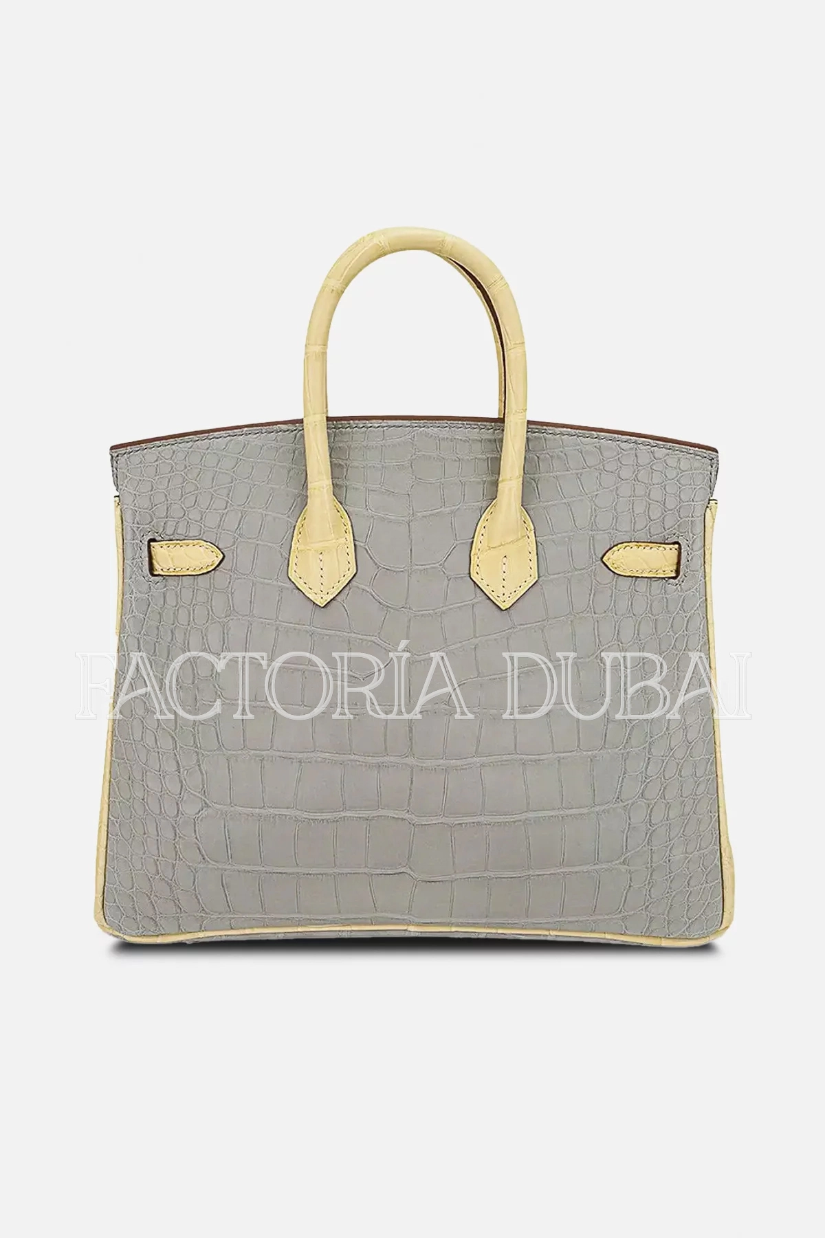 Hermes Special Order HSS Birkin 25 Bag Gris Perle & Vanille Matte Alligator RGHW